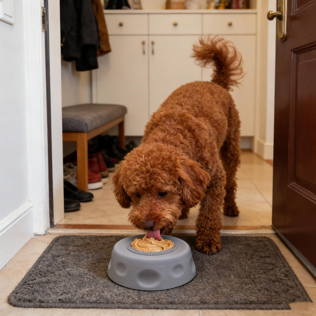 SlowLick Enrichment Bowl