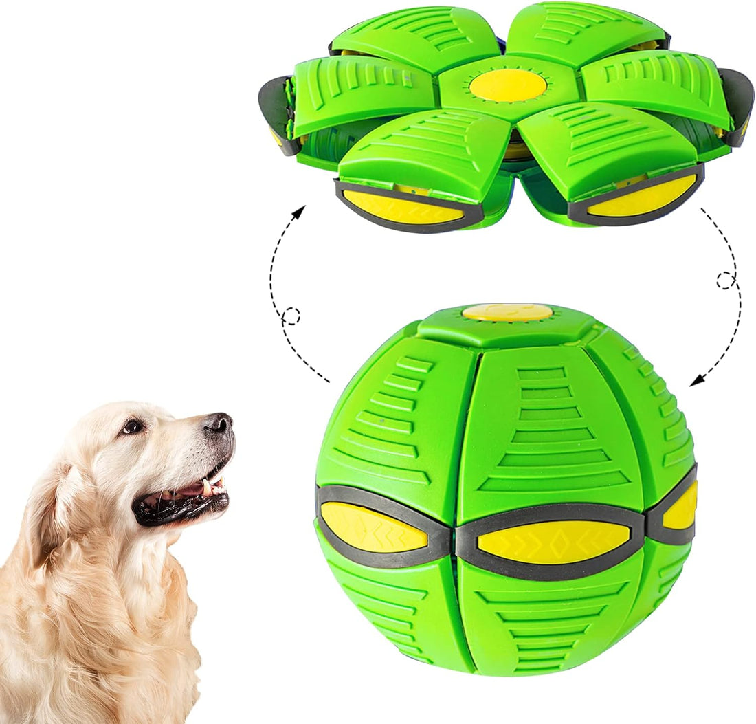 GlowDisc Flying Dog Ball