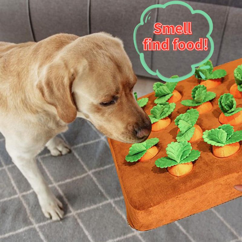 CarrotPatch Snuffle Toy