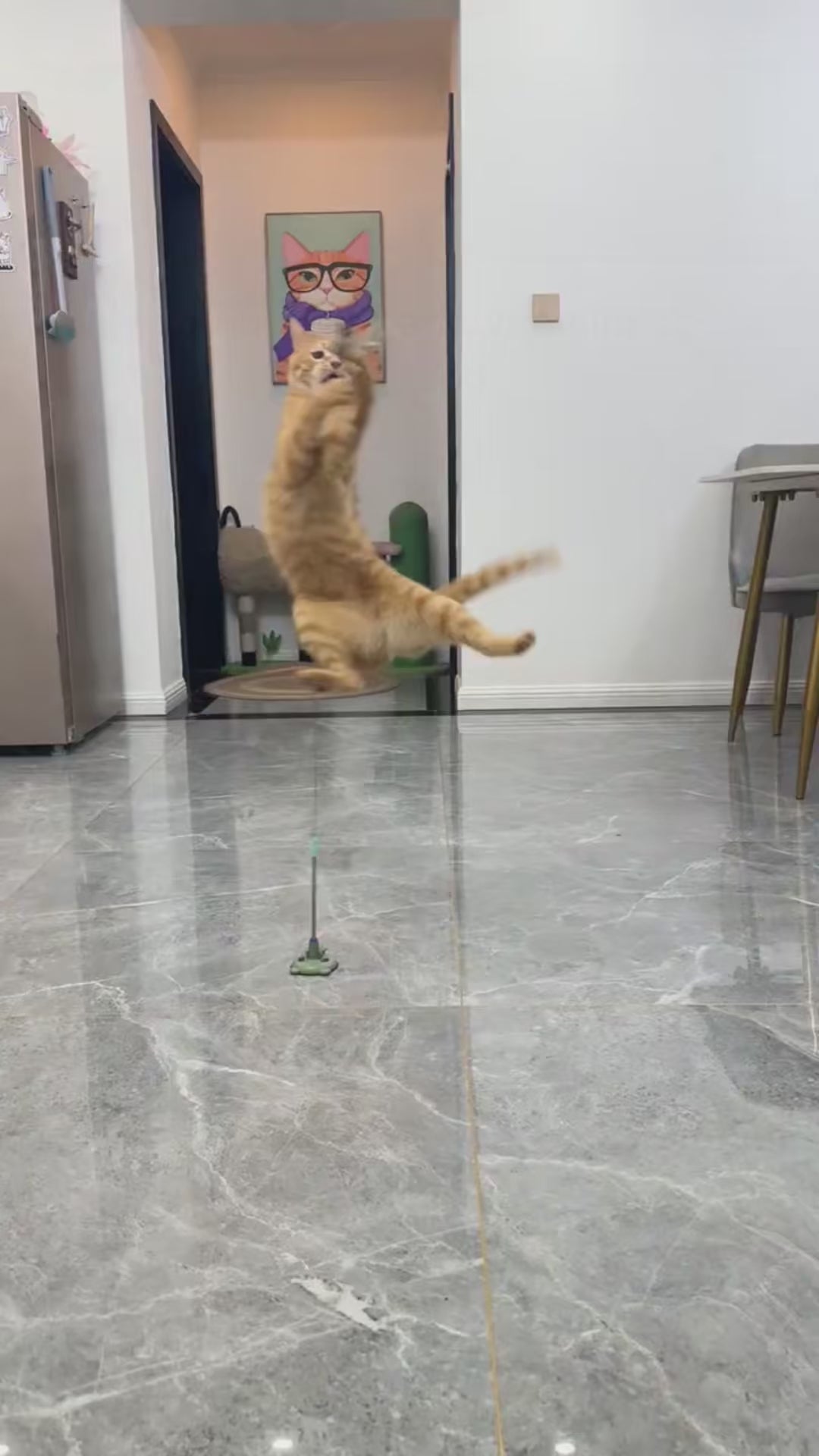 PounceFlex Suction Cat Teaser
