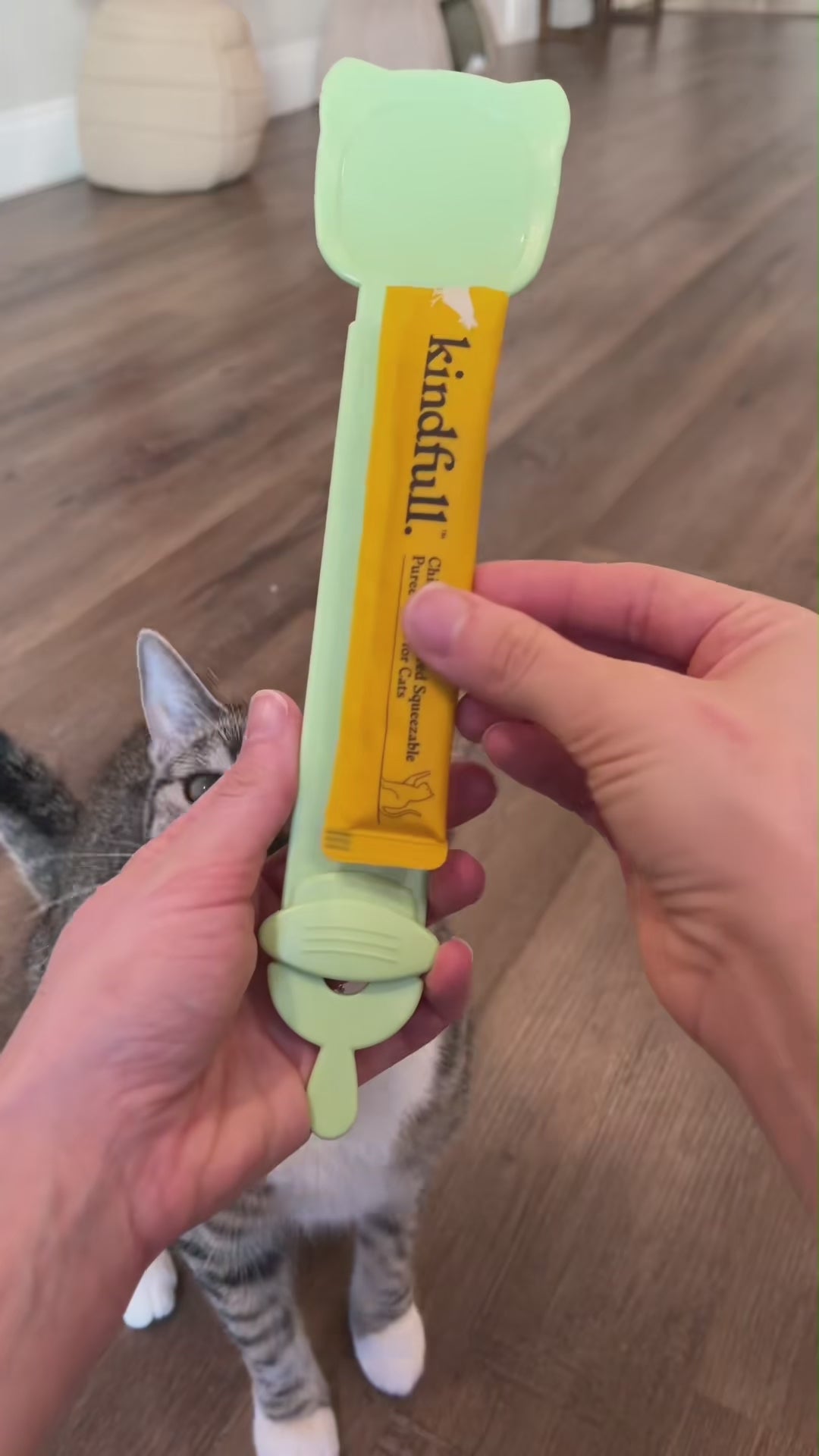 SnackSqueeze Cat Treat Spoon
