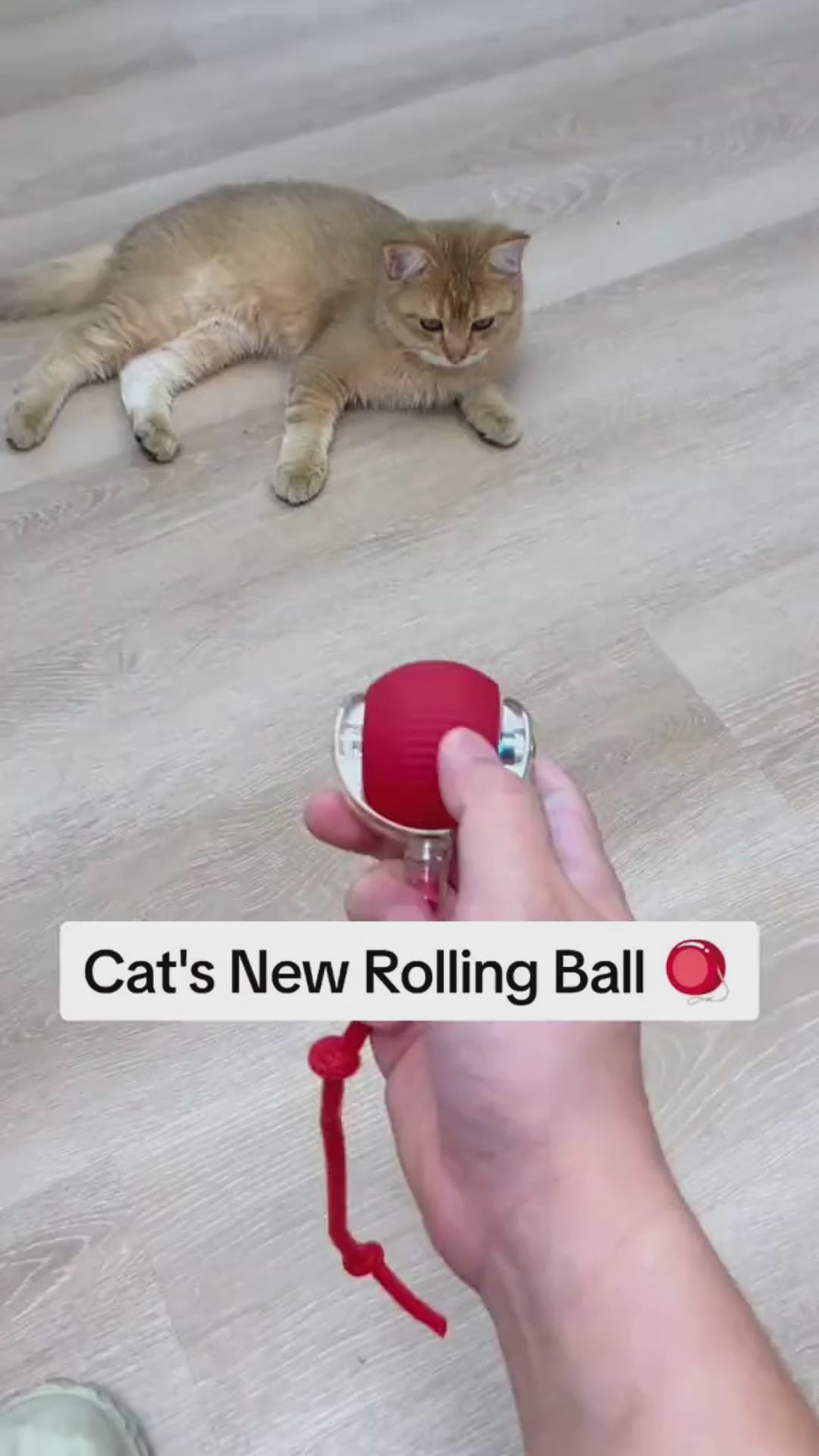 PounceTail Interactive Cat Ball