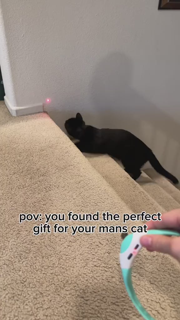 ChaseBeam Rechargeable Cat Collar Toy