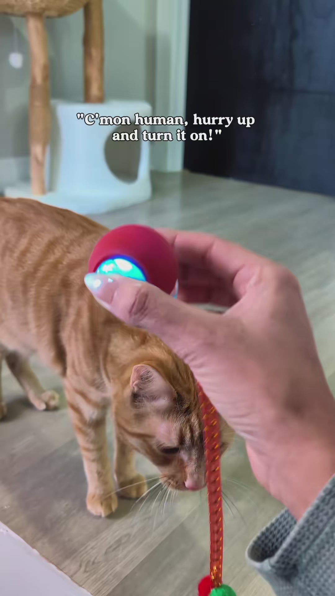 PounceTail Interactive Cat Ball